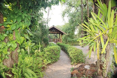 Casa de 4 dormitorios en Udon Thani, Tailandia № 167250 - foto 6
