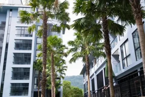 Condominio de 1 dormitorio en Kamala, Tailandia № 202216 - foto 19
