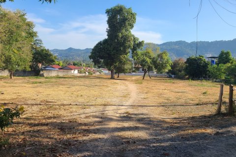 Terreno 1600 m2 en Ko Samui, Tailandia № 164078