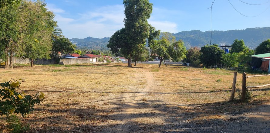 Grundstück in Ko Samui, Thailand 1600 m2 № 164078