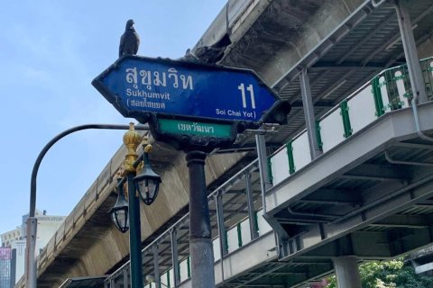 Hotel in Bangkok, Thailand 750 sq.m. № 146855 - photo 5