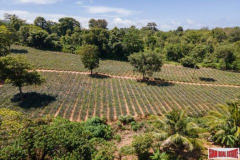 Terreno 11200 m2 en Mai Khao, Tailandia № 202526