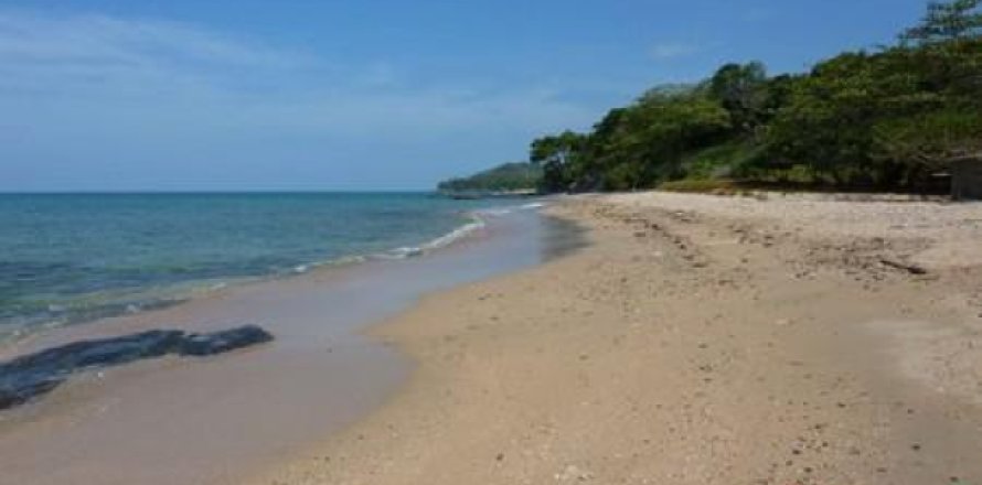 Land in Ko Lanta Yai, Thailand 12000 sq.m. № 202525