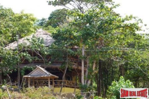 Land in Ko Lanta Yai, Thailand 12000 sq.m. № 202525 - photo 4