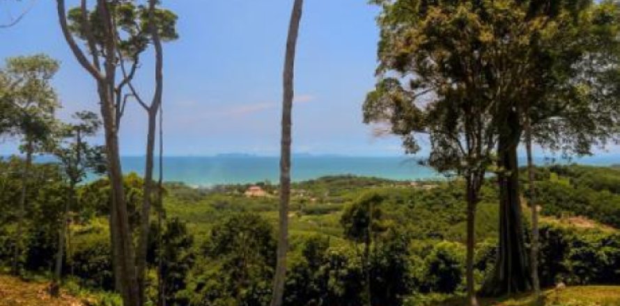 Terreno 19200 m2 en Ko Lanta Yai, Tailandia № 202575