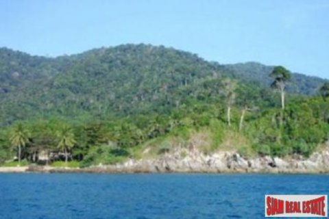 Land in Ko Lanta Yai, Thailand 56000 sq.m. № 202571