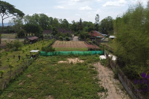 Terreno en Chiang Mai, Tailandia № 200282 - foto 17
