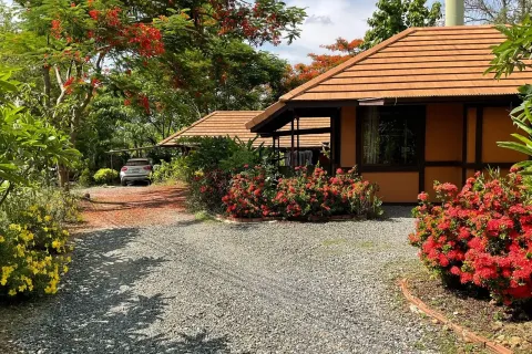 Local comercial 1500 m2 en Chiang Mai, Tailandia № 162839 - foto 20