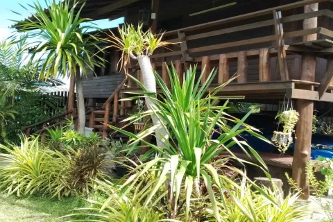 Gewerbeimmobilie in Chiang Mai, Thailand 350 m2 № 162834 - Foto 13
