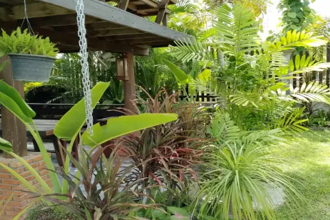 Gewerbeimmobilie in Chiang Mai, Thailand 350 m2 № 162834 - Foto 3