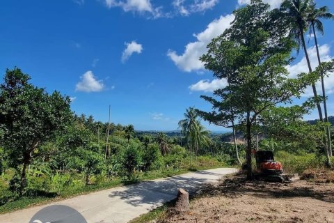 Terreno 4046 m2 en Ko Samui, Tailandia № 180122 - foto 6