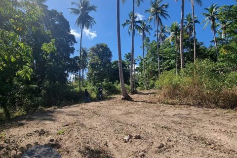 Terreno 4046 m2 en Ko Samui, Tailandia № 180122 - foto 5