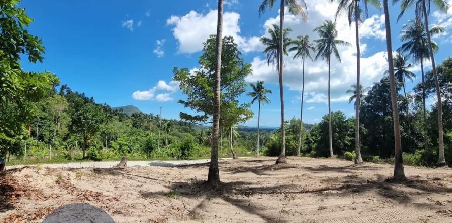 Terreno 4046 m2 en Ko Samui, Tailandia № 180122