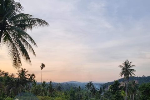 Terreno 4046 m2 en Ko Samui, Tailandia № 180122 - foto 3
