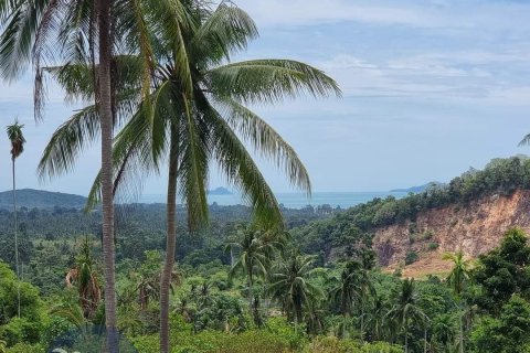 Terreno 4046 m2 en Ko Samui, Tailandia № 180122 - foto 2