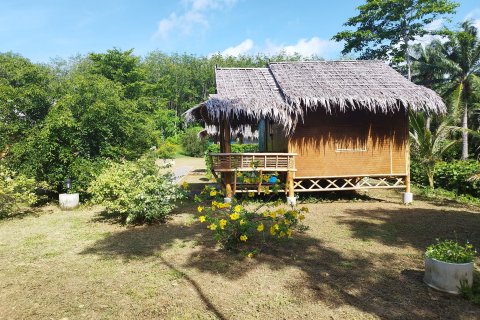 Hotel en Ko Lanta Yai, Tailandia № 161231 - foto 12