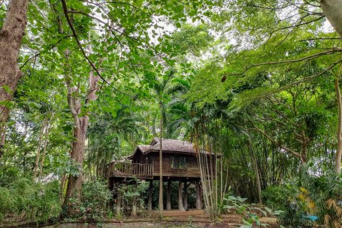 Casa de 5 dormitorios en Chiang Mai, Tailandia № 190875 - foto 30