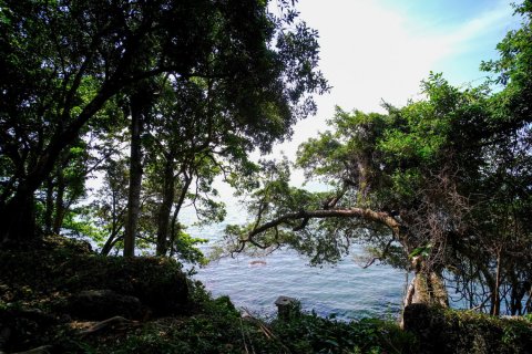 Terreno en Trat, Tailandia № 180912 - foto 6