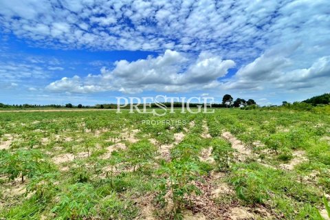 Land in Pattaya, Thailand 17896 sq.m. № 198369 - photo 5