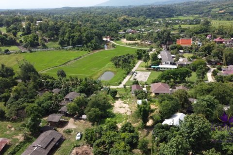 Land in Mae Rim, Thailand № 200424