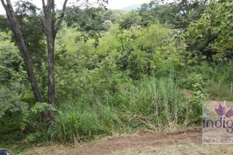 Terreno en Chiang Mai, Tailandia № 200425 - foto 6