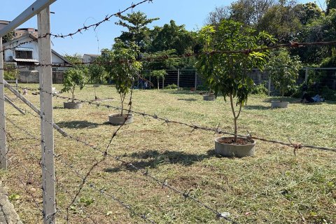 Terreno 800 m2 en Bangkok, Tailandia № 161410 - foto 3