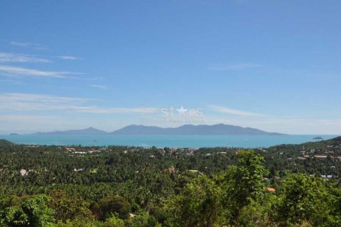 Terrain à Ko Samui, Thaïlande № 67042