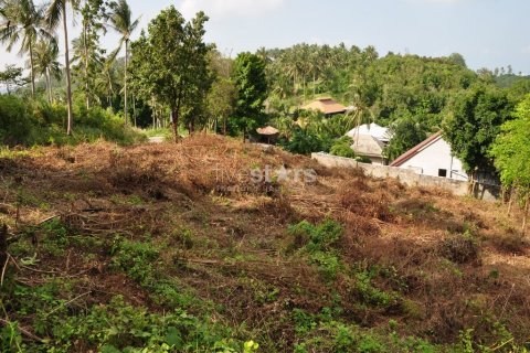 Land in Ko Samui, Thailand № 67198 - photo 5