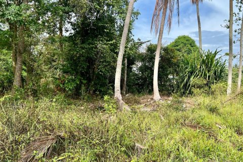 Land in Ko Samui, Thailand 1600 sq.m. № 172439 - photo 3