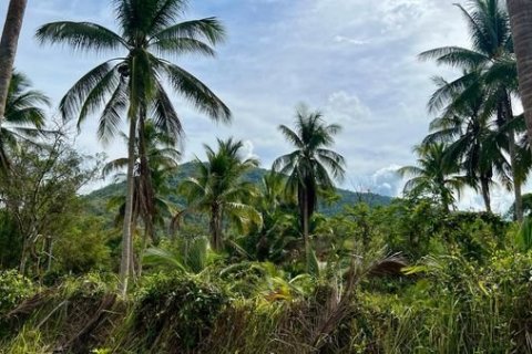 Land in Ko Samui, Thailand 1600 sq.m. № 172439 - photo 2
