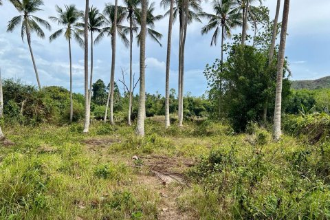 Grundstück in Ko Samui, Thailand 1600 m2 № 172439