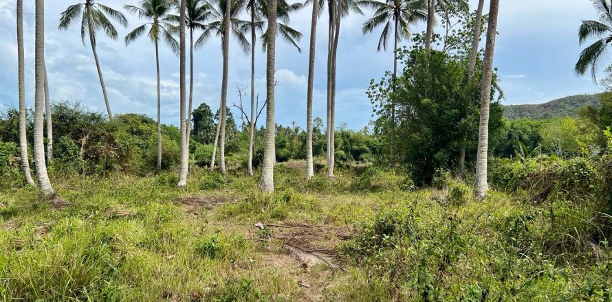 Land in Ko Samui, Thailand 1600 sq.m. № 172439