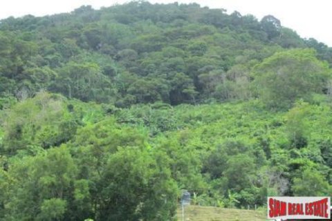 Terreno 10220 m2 en Kata, Tailandia № 202519 - foto 5