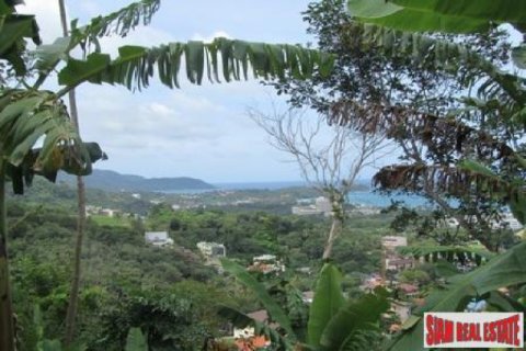 Terreno 10220 m2 en Kata, Tailandia № 202519 - foto 3