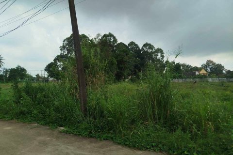 Terreno en Bang Lamung, Tailandia № 152294 - foto 4