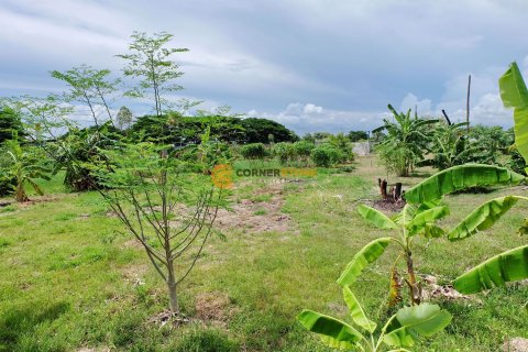 Land in Chonburi, Thailand № 26407 - photo 2