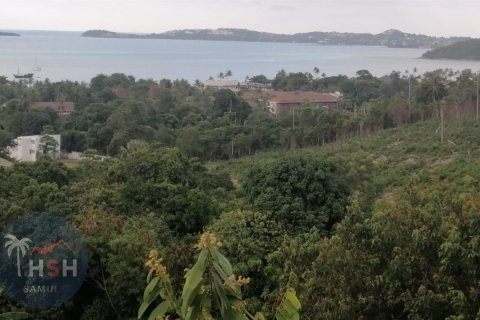 Grundstück in Ko Samui, Thailand 1600 m2 № 179999
