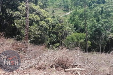 Terreno 1600 m2 en Ko Samui, Tailandia № 179999 - foto 5