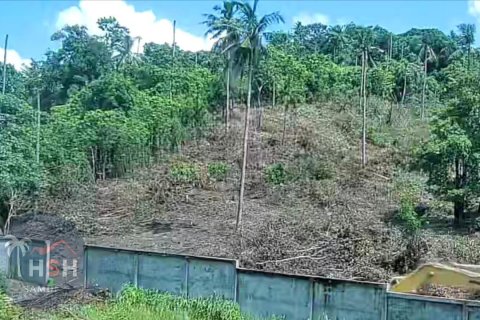 Terreno 1600 m2 en Ko Samui, Tailandia № 179999 - foto 6