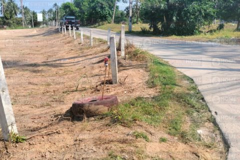 Grundstück in Ko Samui, Thailand 1600 m2 № 180004 - Foto 3