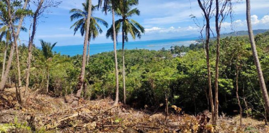 Terreno 8000 m2 en Ko Samui, Tailandia № 203244