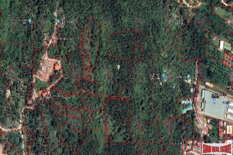 Terreno 8000 m2 en Ko Samui, Tailandia № 203244 - foto 3