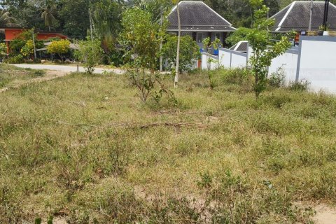 ที่ดินในเกาะสมุย, ประเทศไทย 400 ตร.ม. № 203708