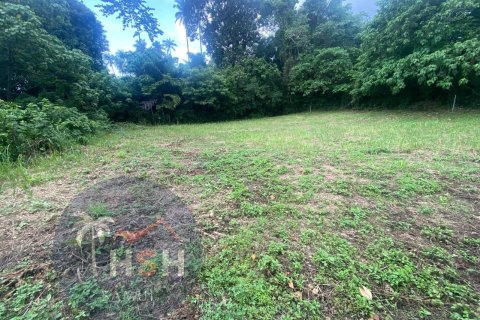 Terreno 850 m2 en Ko Samui, Tailandia № 203705 - foto 3