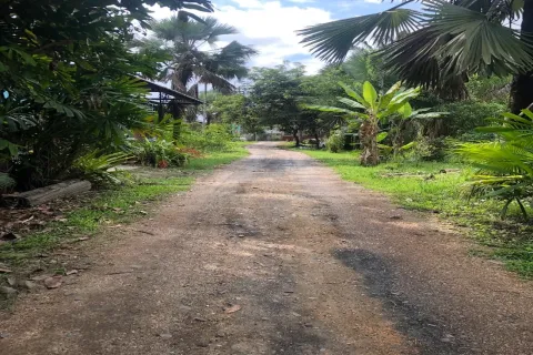 Terreno en Chiang Mai, Tailandia № 162840 - foto 6