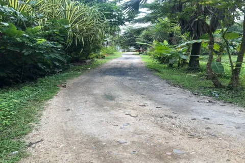 Terreno en Chiang Mai, Tailandia № 162840 - foto 8