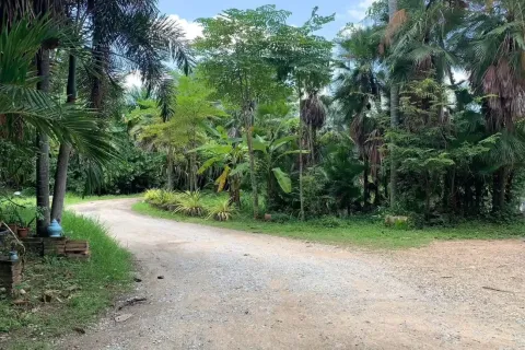 Terreno en Chiang Mai, Tailandia № 162840 - foto 11