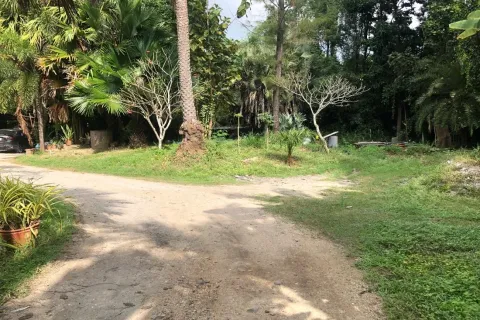 Terreno en Chiang Mai, Tailandia № 162840 - foto 7