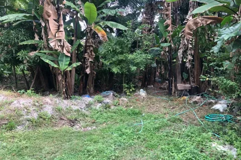 Terreno en Chiang Mai, Tailandia № 162840 - foto 9