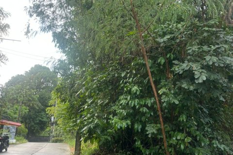 Grundstück in Ko Samui, Thailand 444 m2 № 163096 - Foto 5